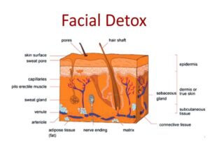 Facial Detox