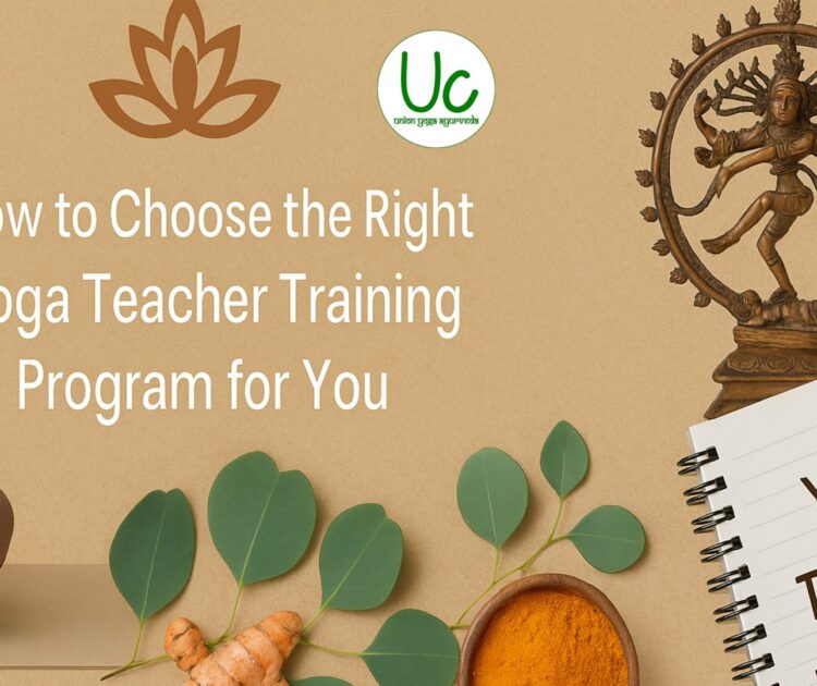 How to Choose the Right Yoga Teacher Training Program for You