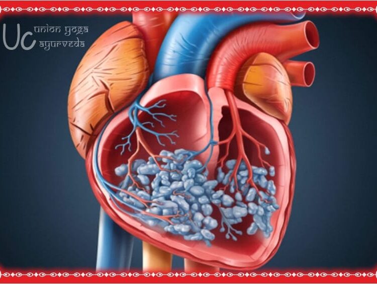 Cardiovascular diseases