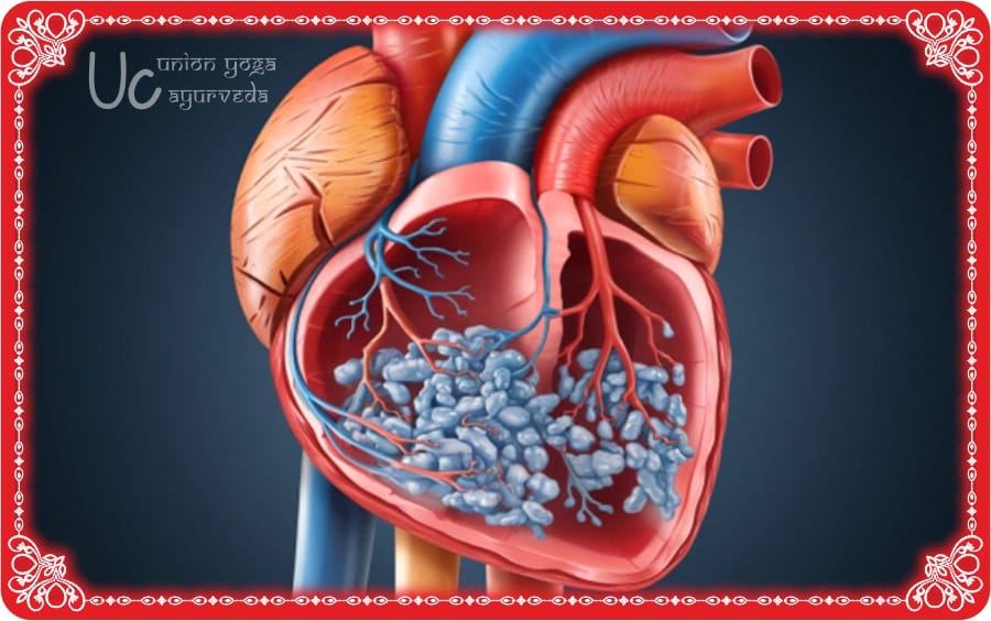 Cardiovascular diseases